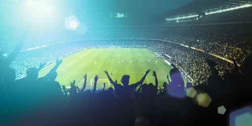 „Digitalisierung im Profisport”