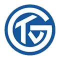 TV Großwallstadt