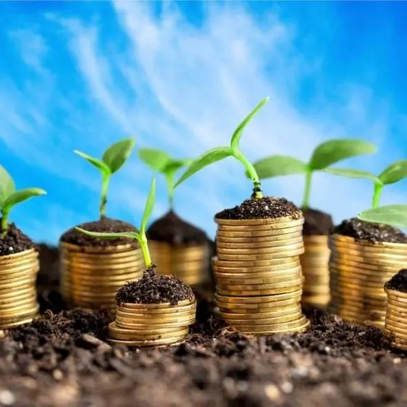 Asset Management