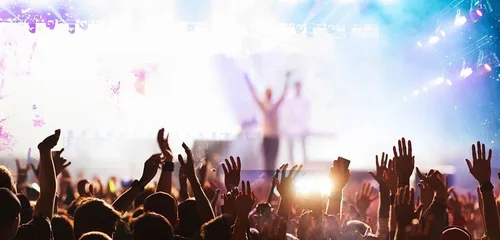 Feiernde Menschen auf einem Konzert