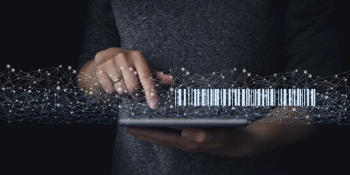 „Digitale Inventarisierungslösung”