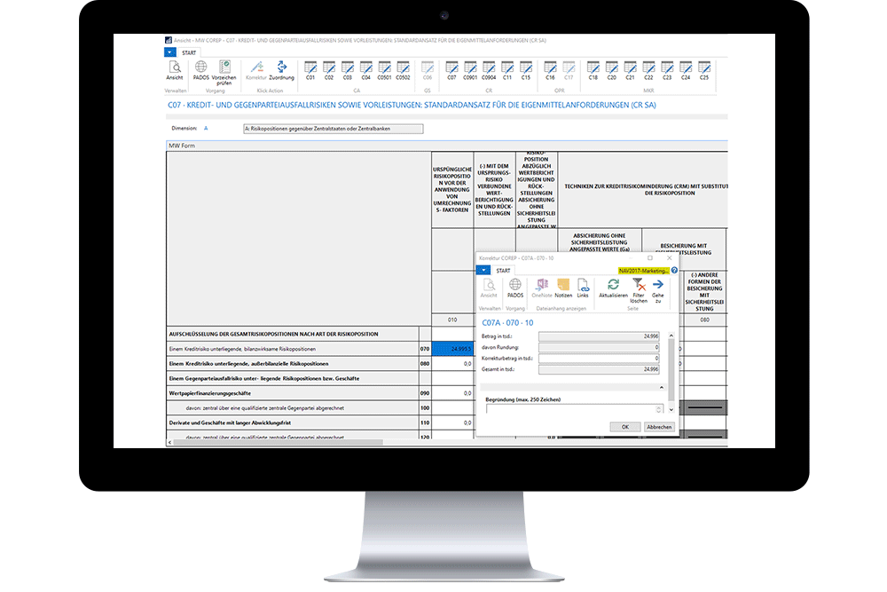 Screenshot Meldewesen Software COREP-Meldung Form