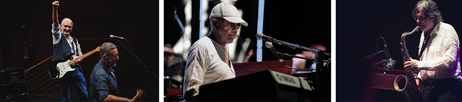 DSL* DIRE STRAITS LEGACY